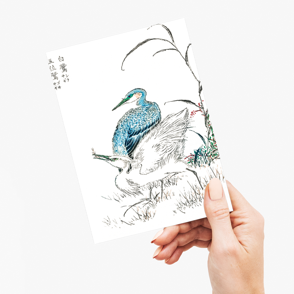 Night Heron and Little Egret By Numata Kashu - Greeting Card