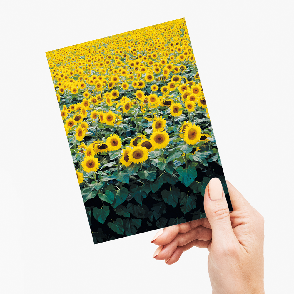 Sunflower Field Japanese Woodblock - Greeting Card