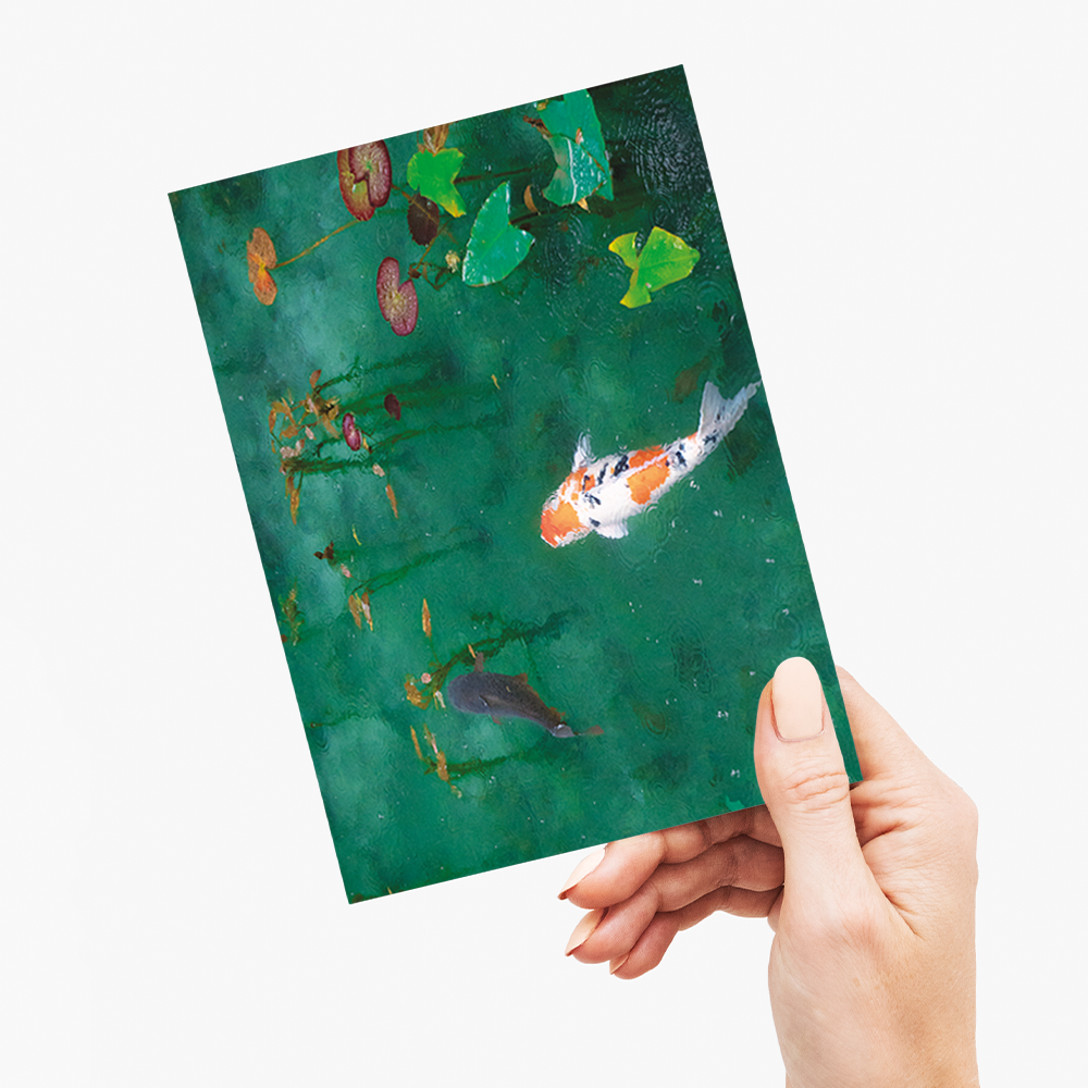 Koi Fish Serenity in the Water - Greeting Card