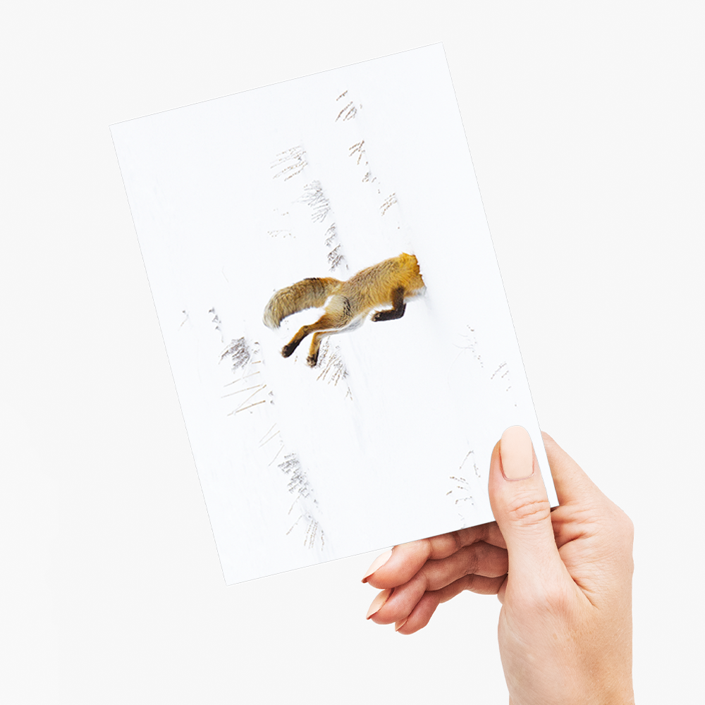 Snow Dive - Greeting Card