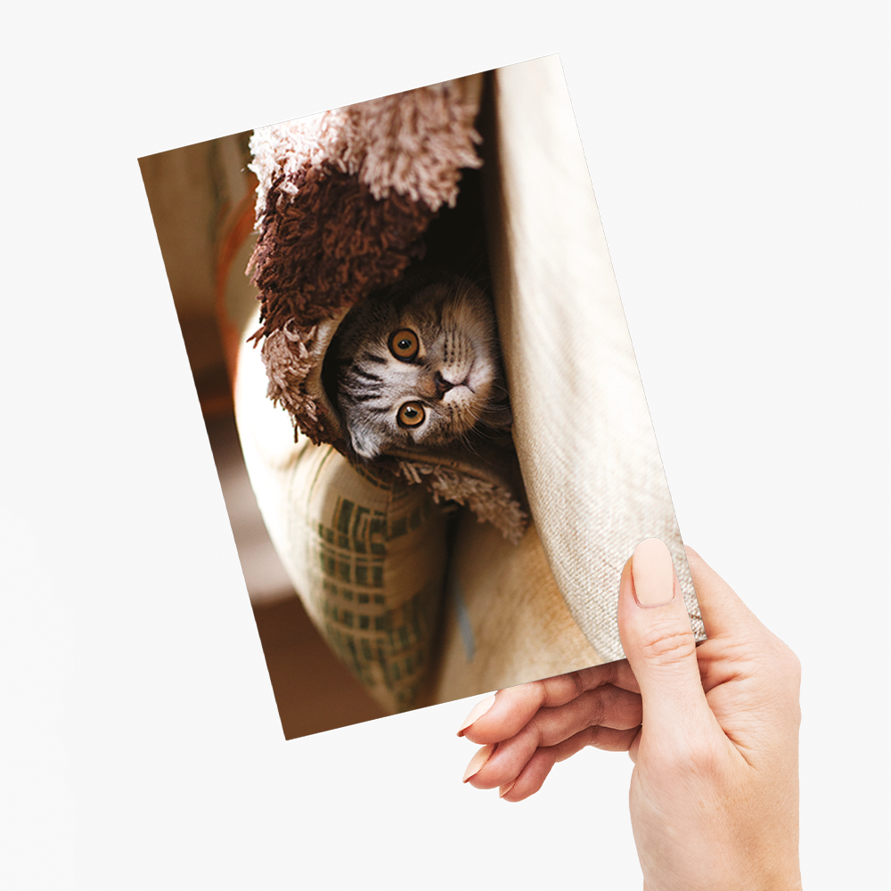 Cute cat hiding under blanket - Greeting Card