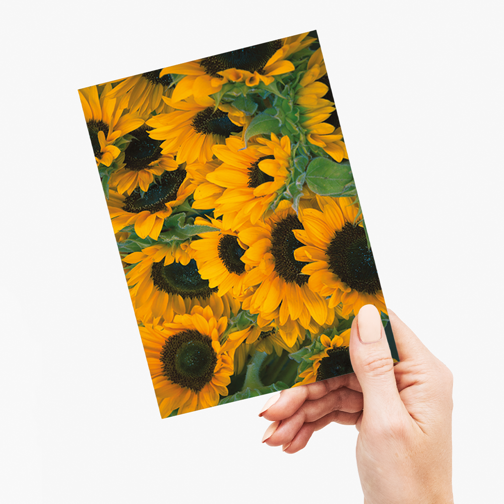 Bunch of sunflowers - Greeting Card