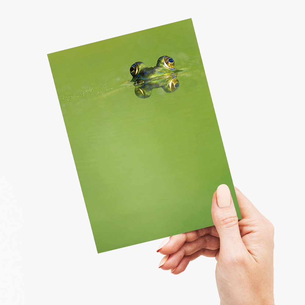 Green frog swimming in the water. - Greeting Card