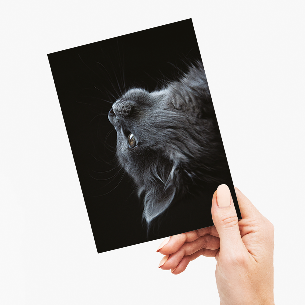 Cute gray cat - Greeting Card