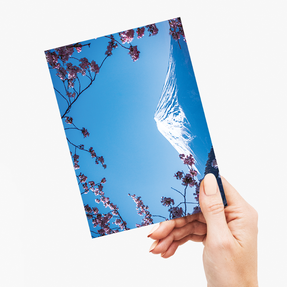 Blooming pink blossom branches with Fuji Mountain - Greeting Card