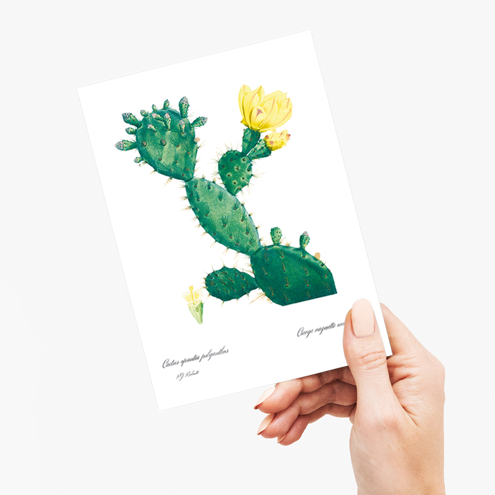 Aloe Opuntia Polyanthos By Pierre-Joseph Redouté - Wenskaart