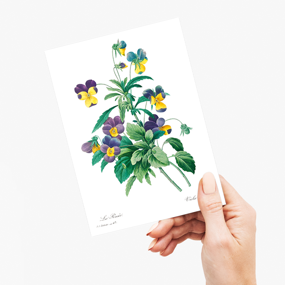 Wild pansy By Pierre-Joseph Redouté - Wenskaart