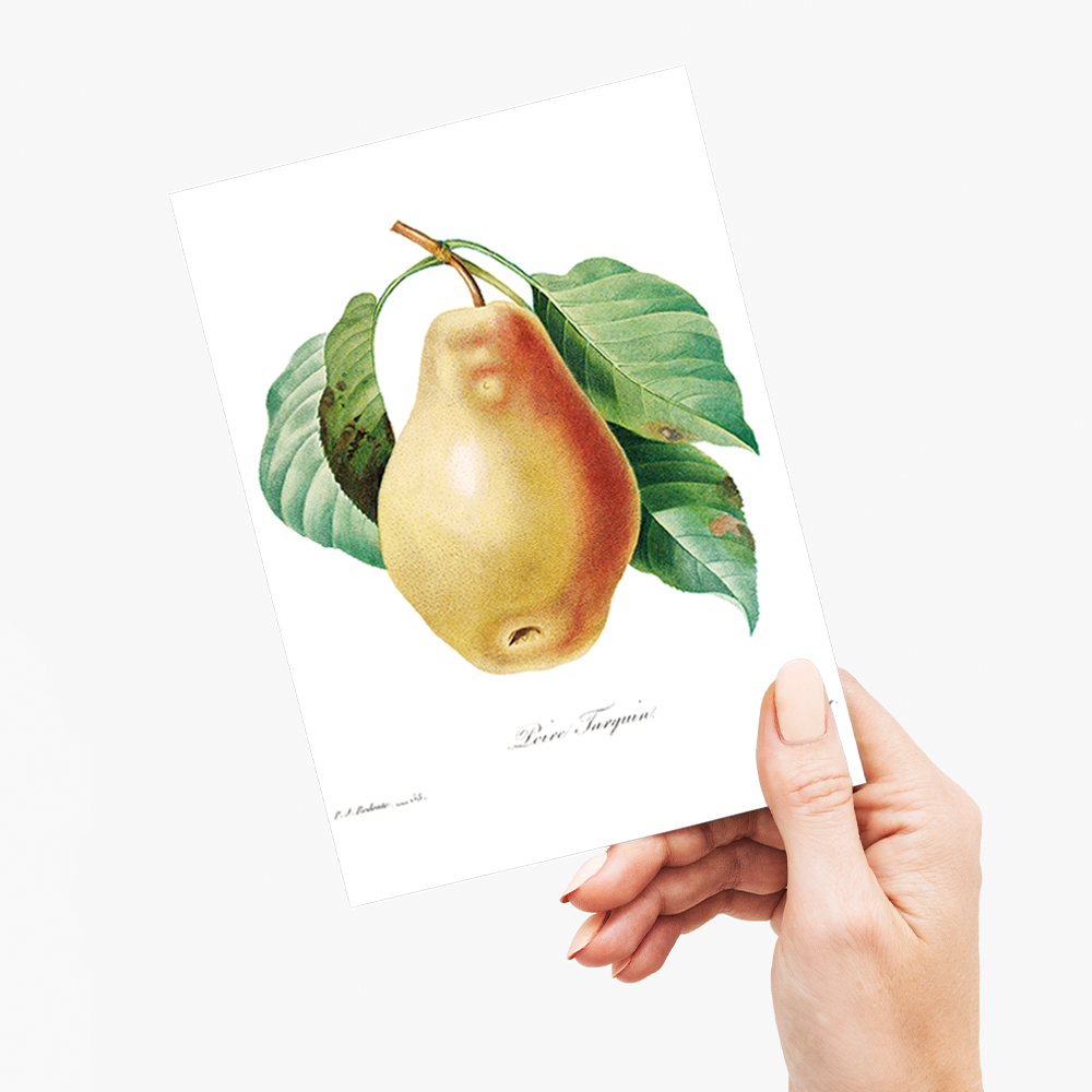 Pear by Pierre-Joseph Redouté - Wenskaart