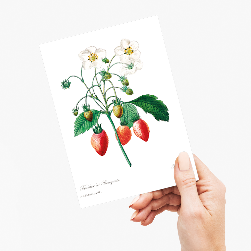Strawberry by Pierre-Joseph Redouté - Wenskaart