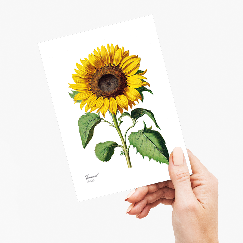 Sunflower - Wenskaart