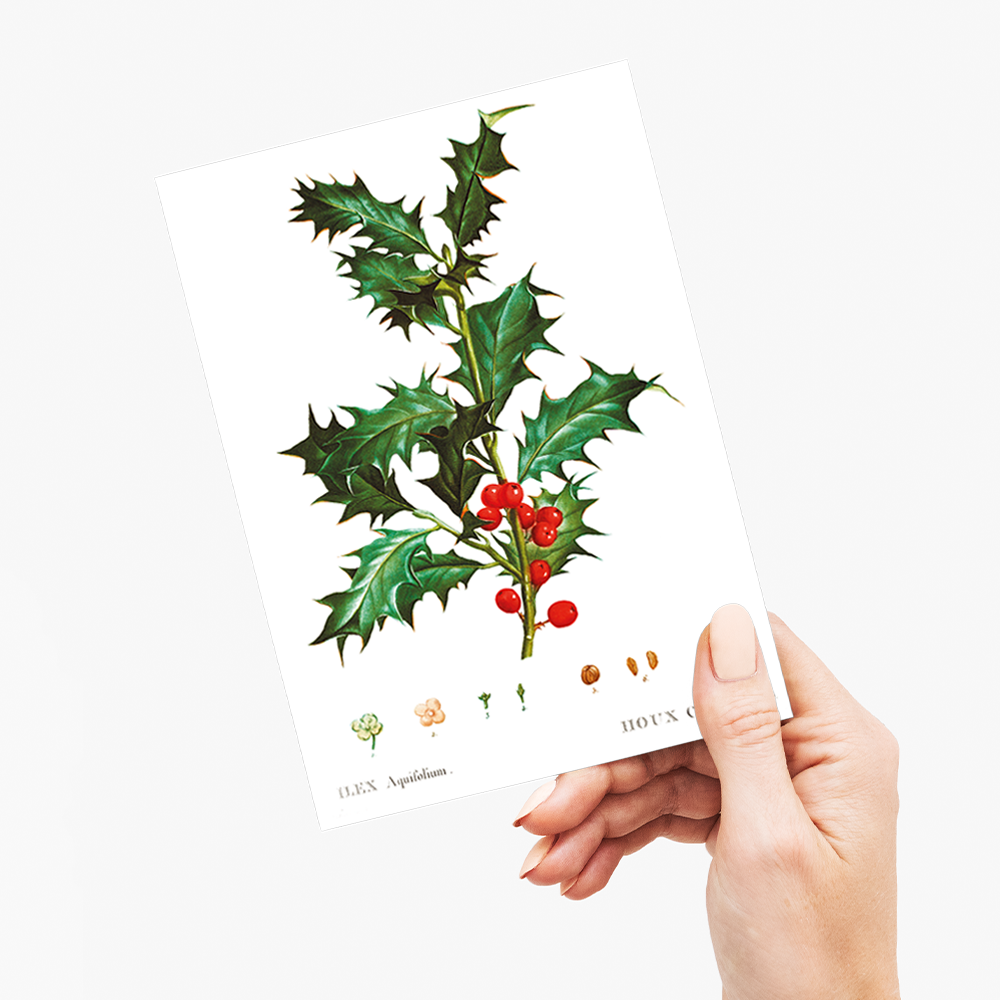Common Holly By Pierre-Joseph Redouté - Wenskaart
