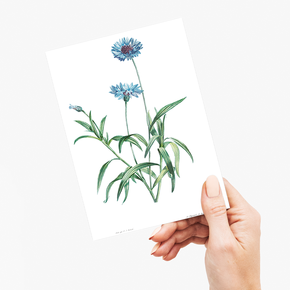 Blue flower By Pierre-Joseph Redouté - Wenskaart