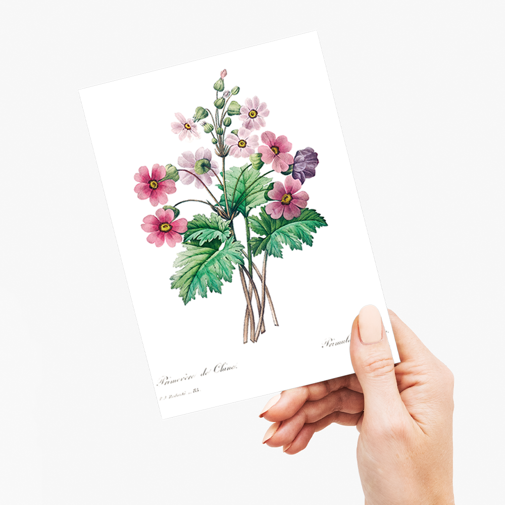 The Chinese primrose By Pierre-Joseph Redouté - Wenskaart