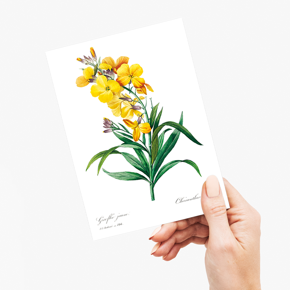 Wallflower By Pierre-Joseph Redouté - Wenskaart