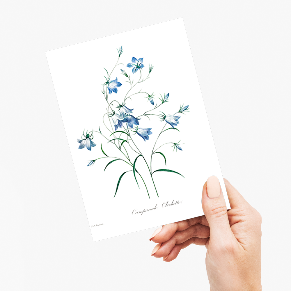Campanule By Pierre-Joseph Redouté - Wenskaart