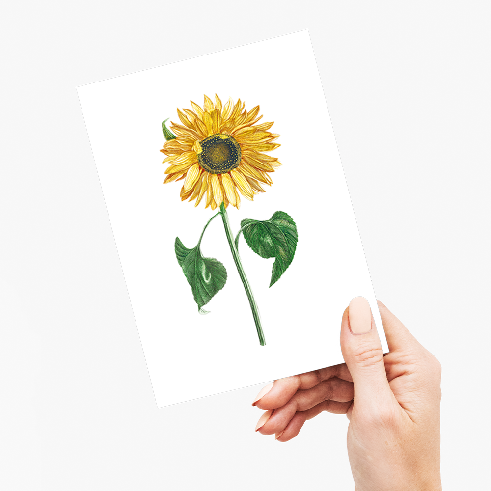 A sunflower by Johan Teyler - Wenskaart