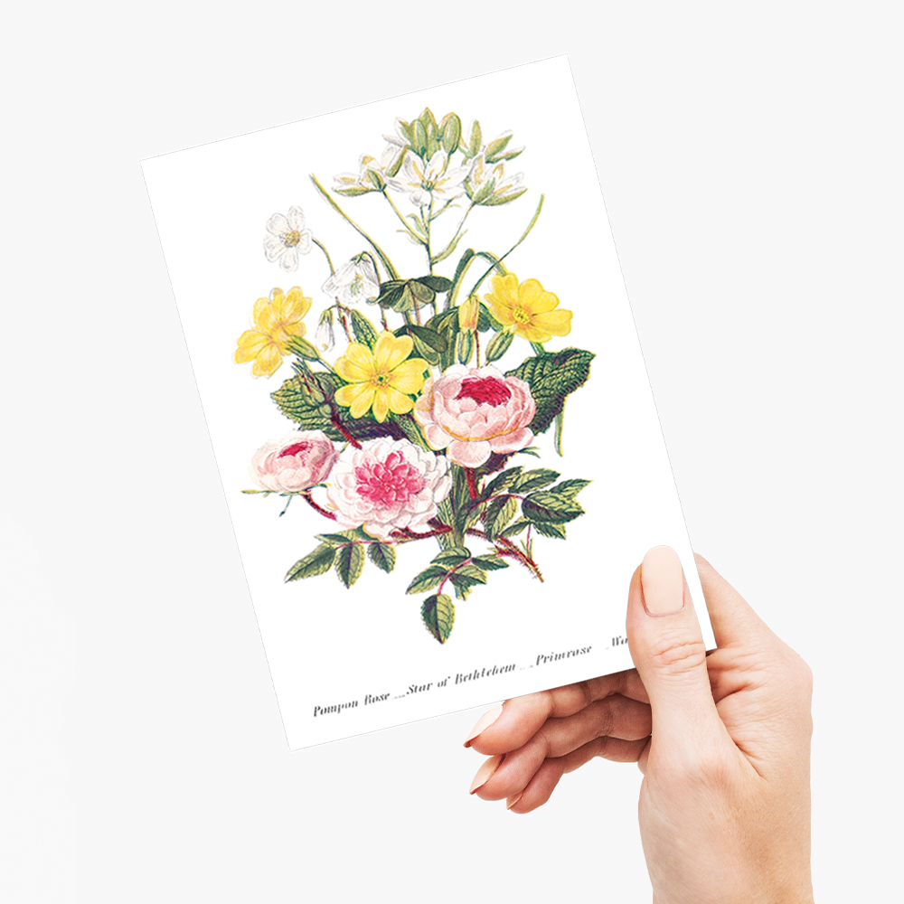 Pompon Rose, Star of Bethlehem, Primrose and Wood Sorrel - Wenskaart