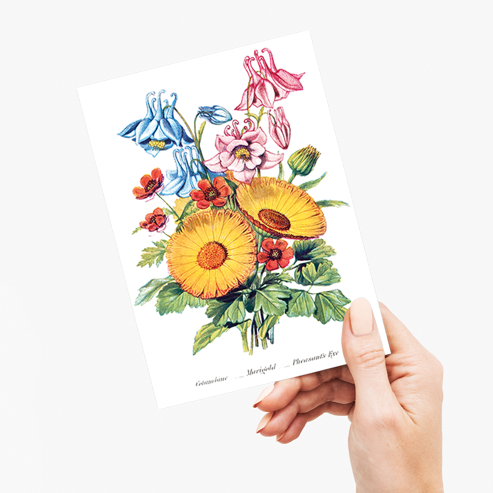 Columbine, Marigold and Pheasant's Eye - Wenskaart
