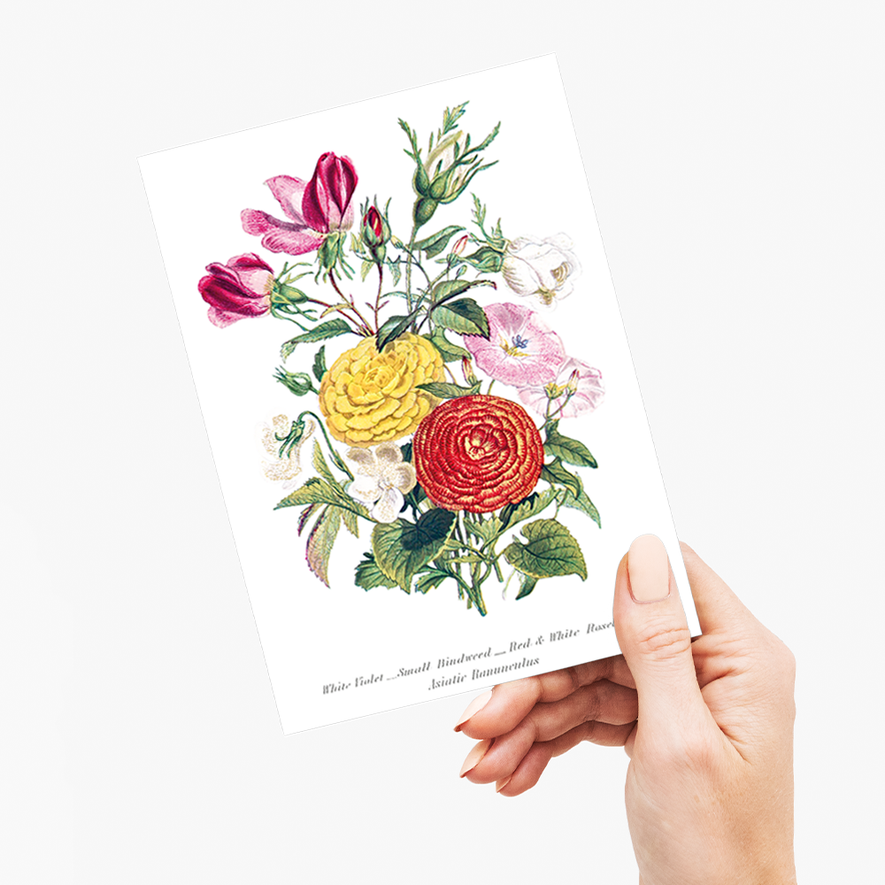 White Violet, Small Bindweed, Red and White Rosebud and Asiatic Ranunculus - Wenskaart