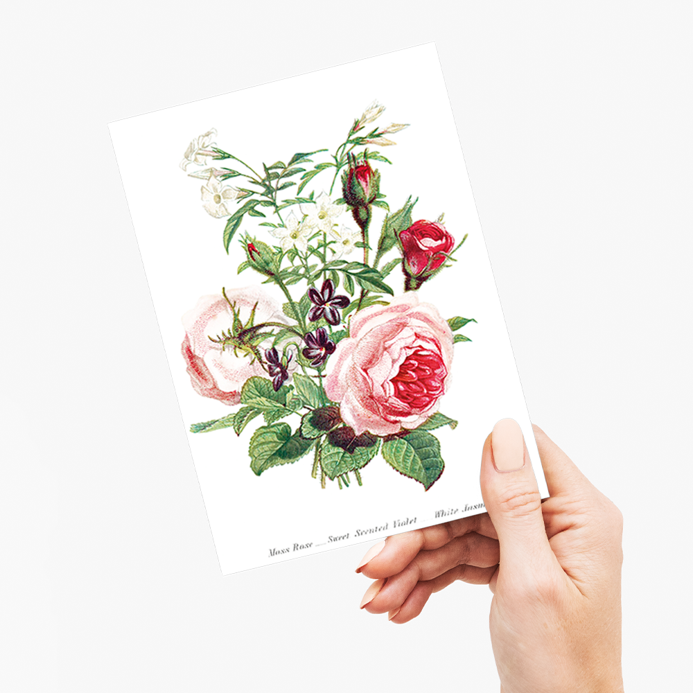 Moss Rose, Sweet Scented Violet and White Jasmine - Wenskaart