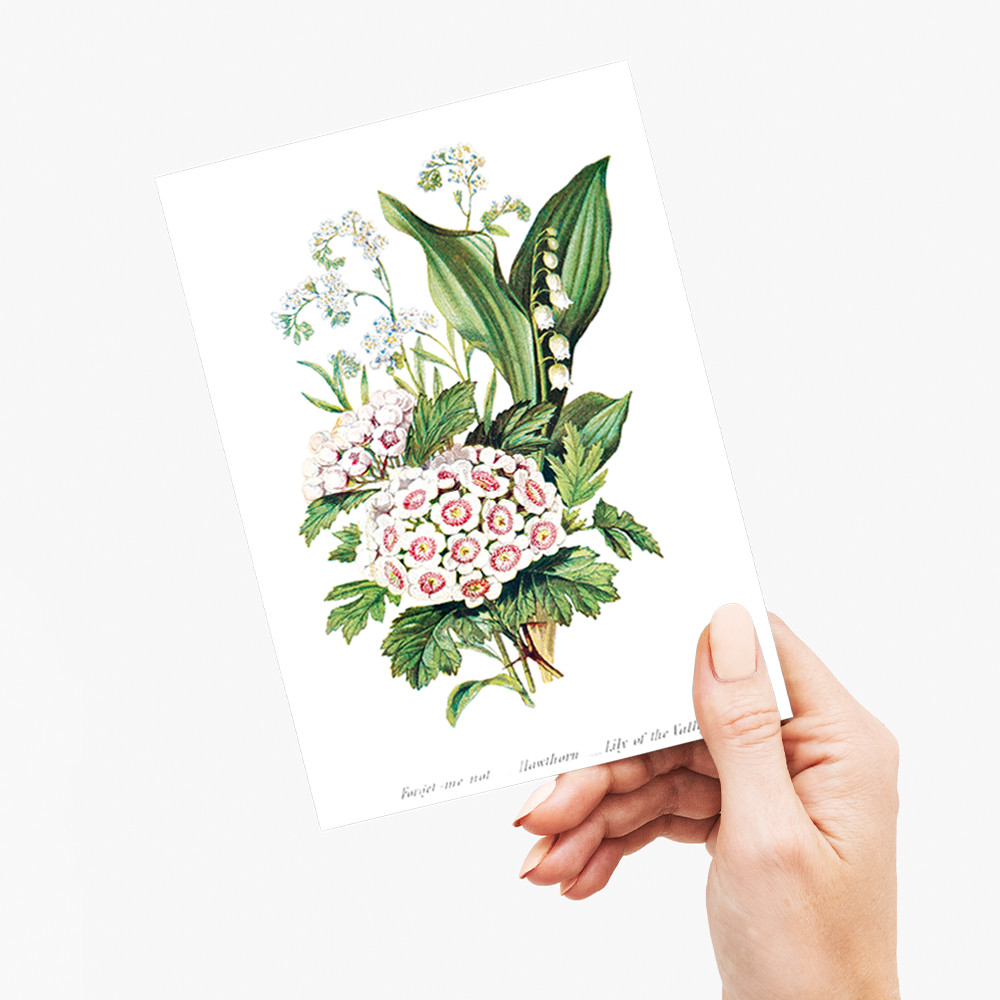 Forget Me Not, Hawthorn and Lily of the Valley - Wenskaart