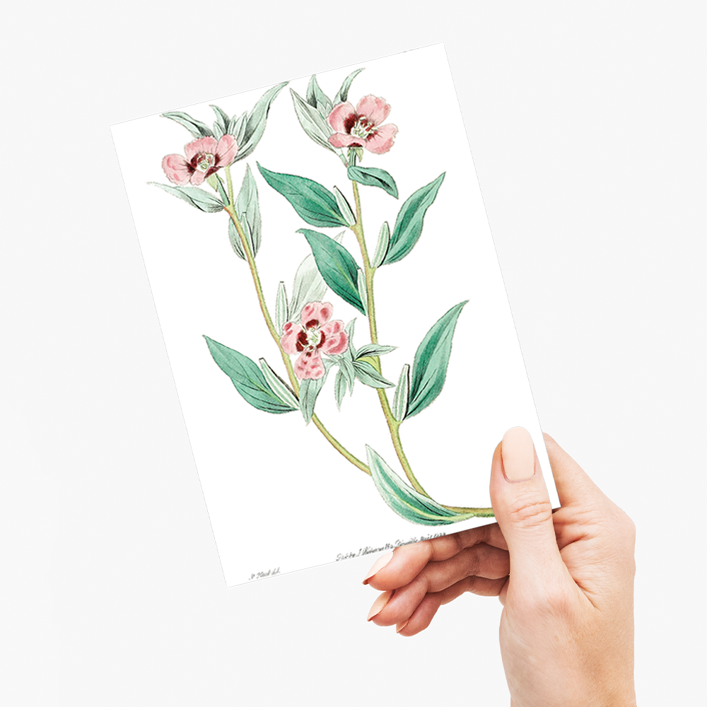 Long Branched Enothera - Wenskaart