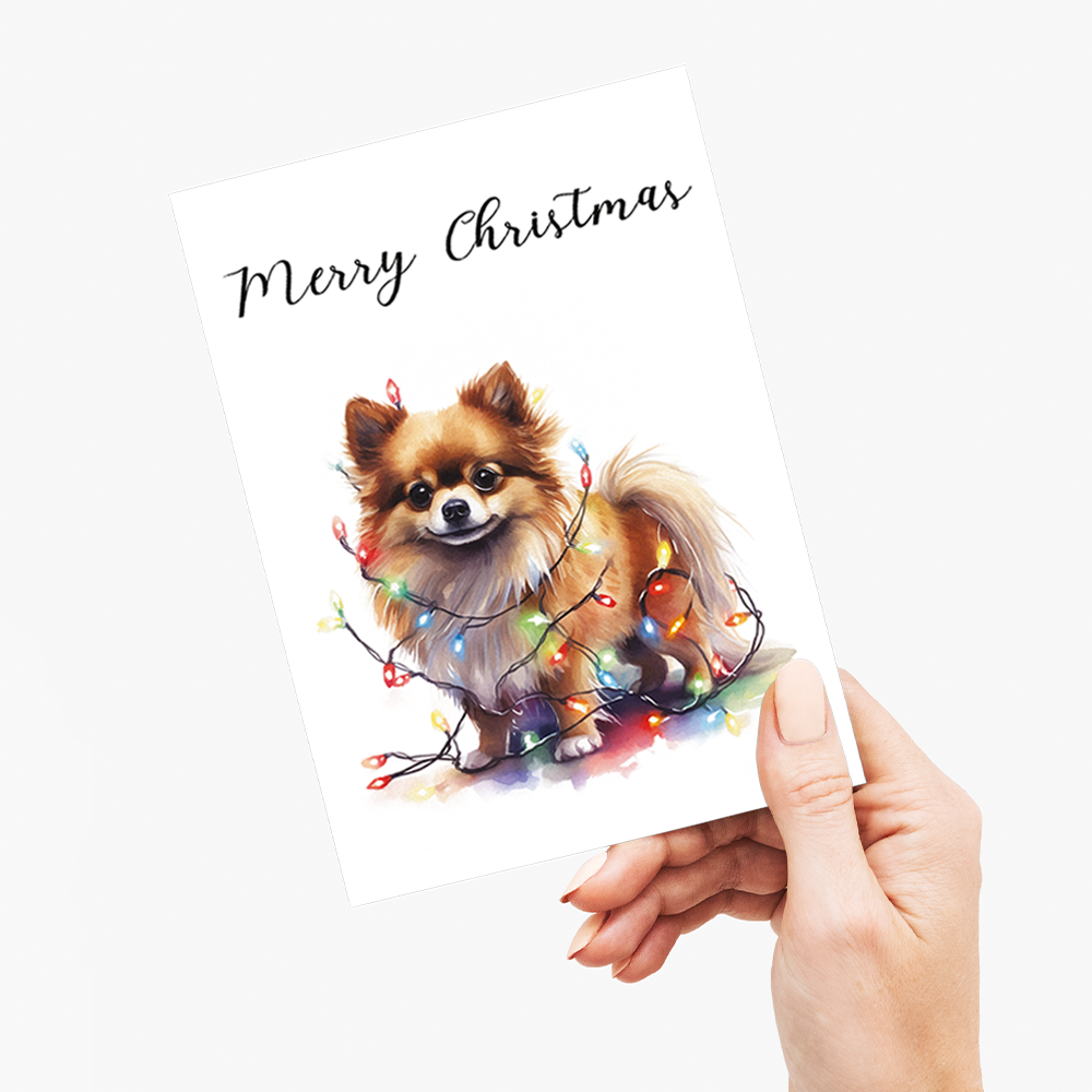 Pomeranian tangled in Christmas light - Greeting Card