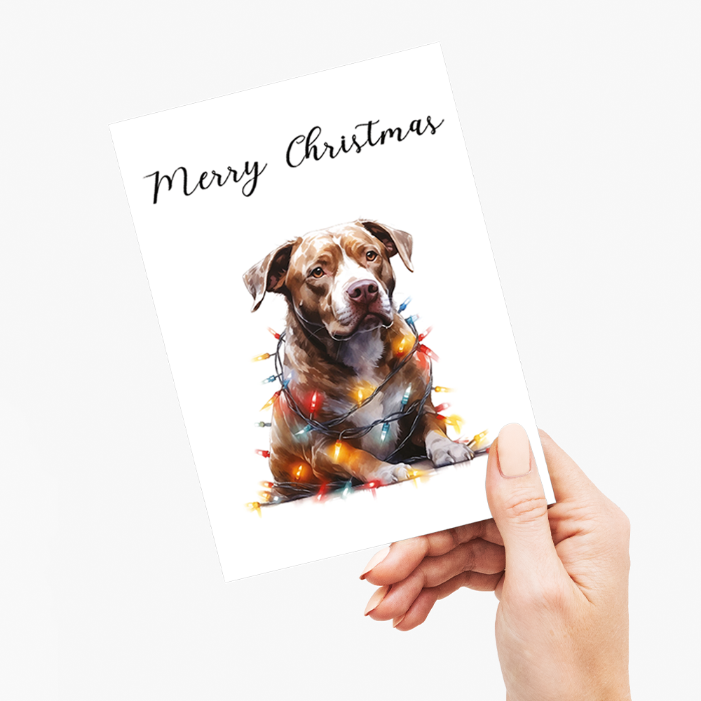 Staffordshire tangled in Christmas light - Greeting Card