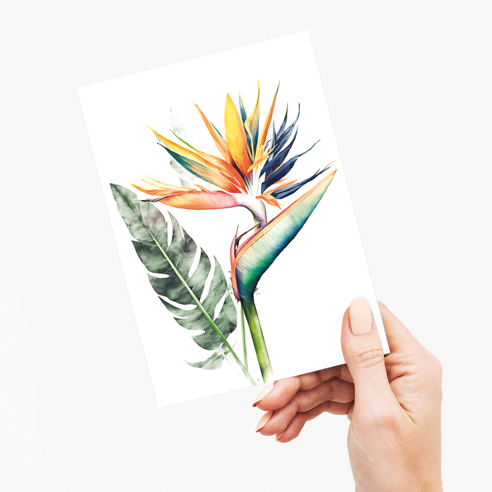 Strelitzia II - Wenskaart
