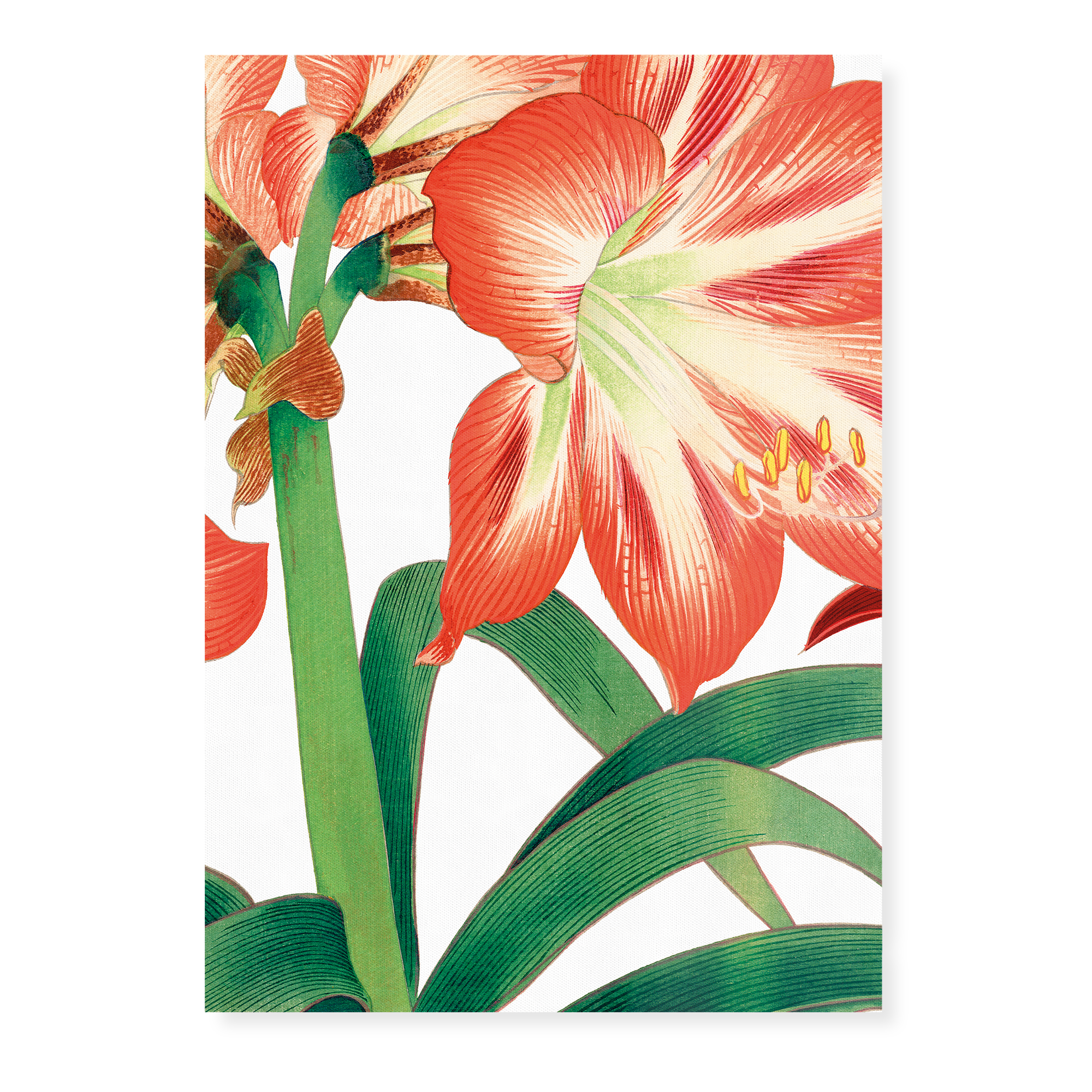 Japanese Flowers Art-Prints