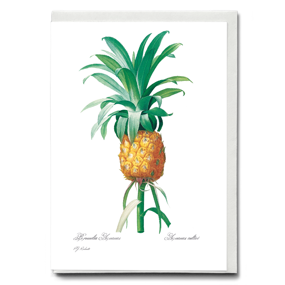 Vintage Flowers (Fruits) - Greeting Cards