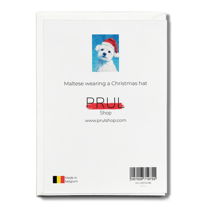 Maltese wearing a Christmas hat - Greeting Card