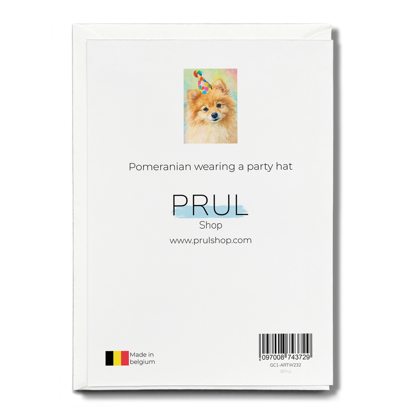 Pomeranian wearing a party hat - Greeting Card