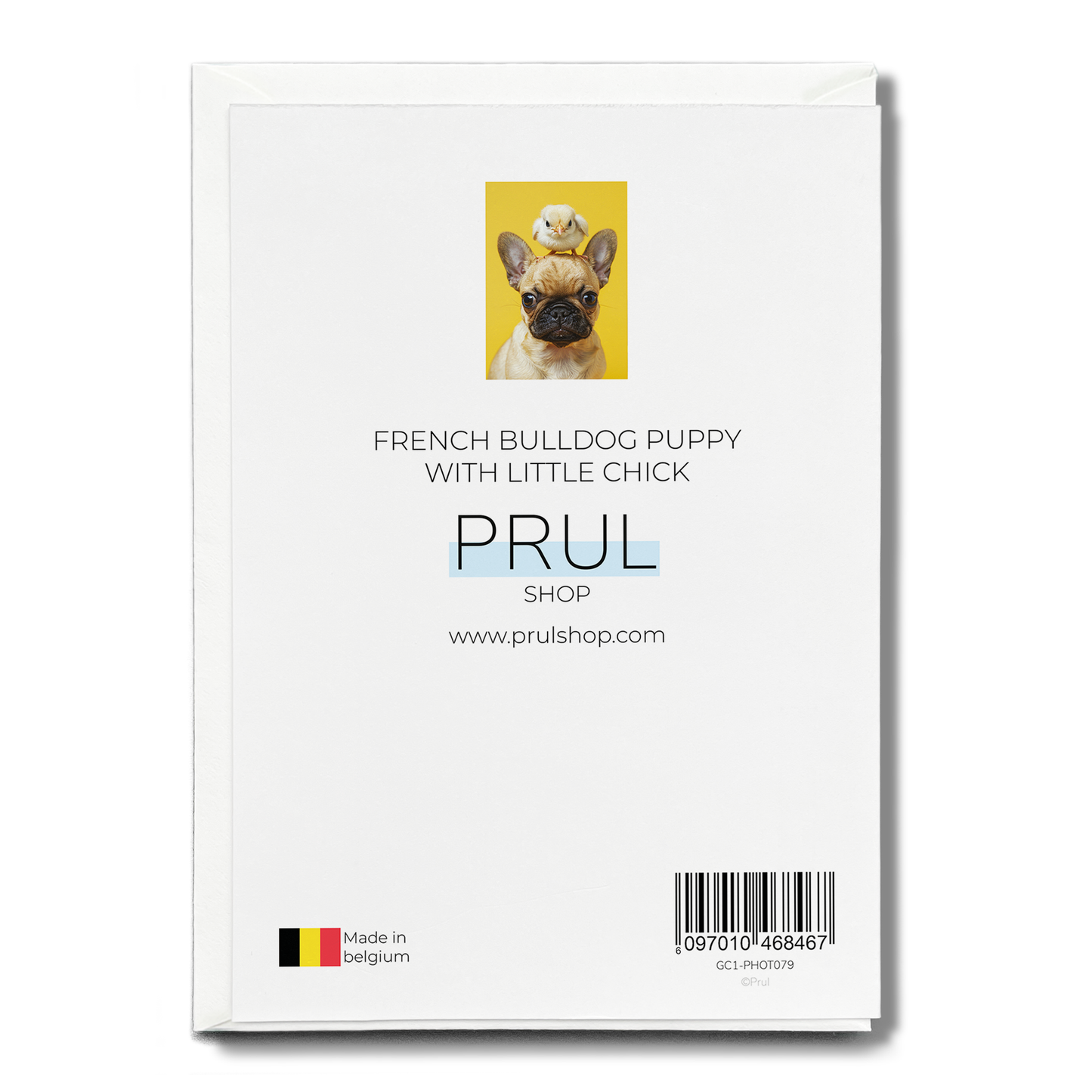 French Bulldog puppy with little chick - Greeting Card