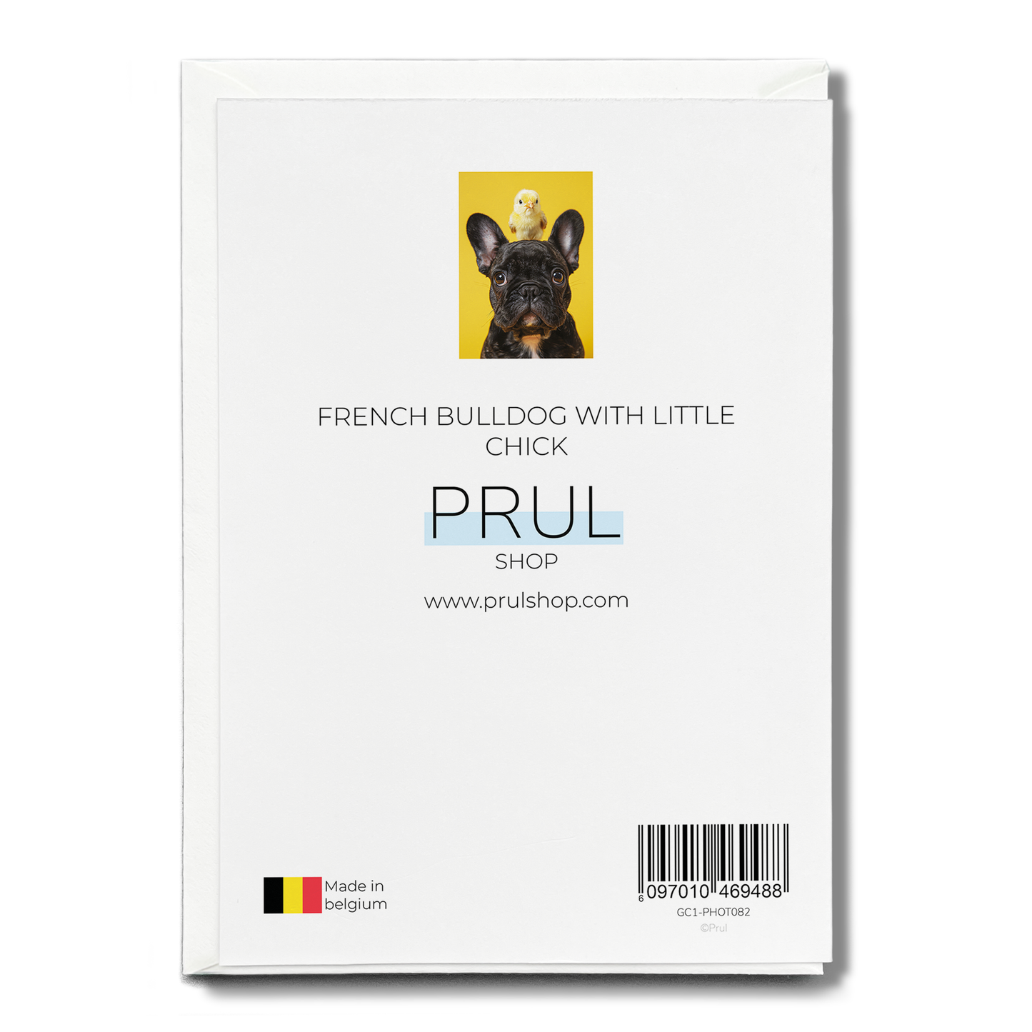 French Bulldog with little chick - Greeting Card