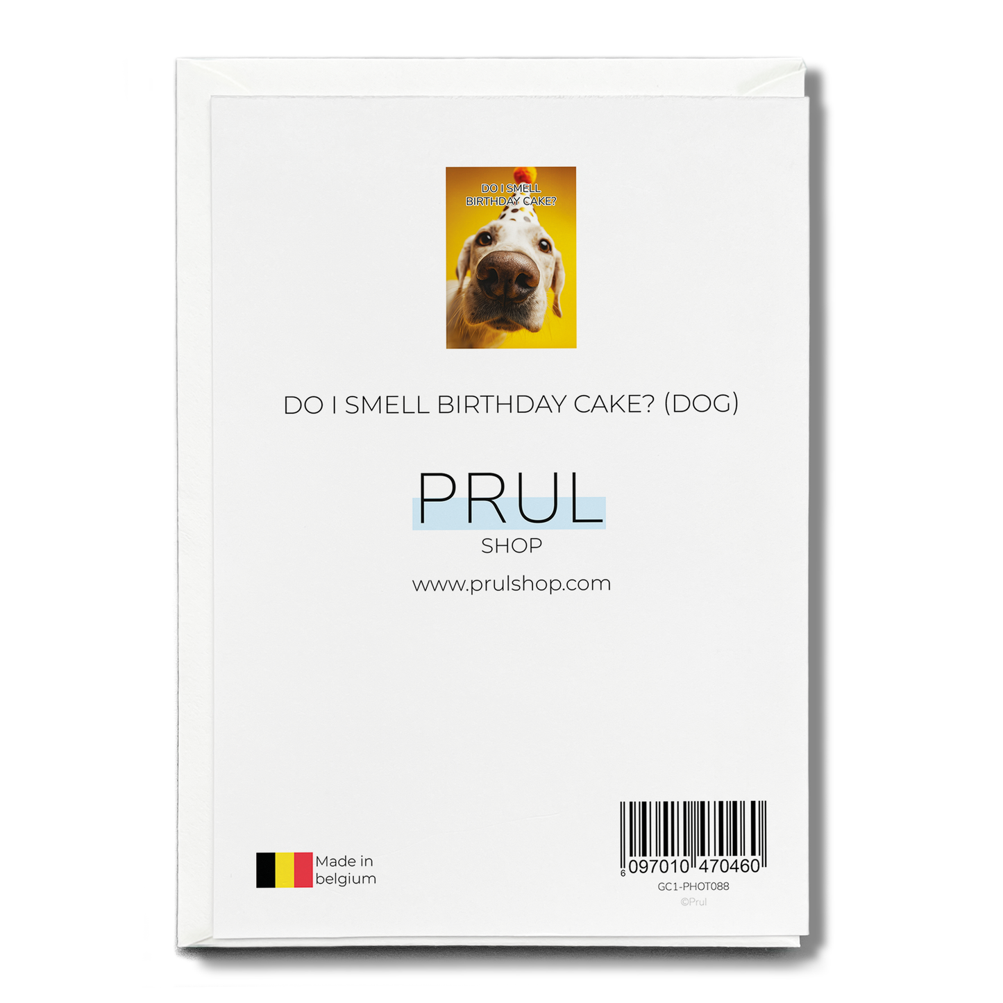 Do i smell Birthday cake? (dog) - Greeting Card