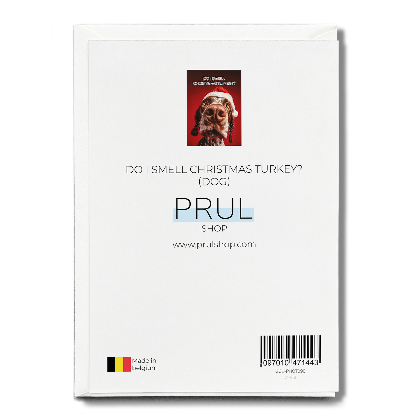 Do i smell Christmas turkey? (dog) - Greeting Card