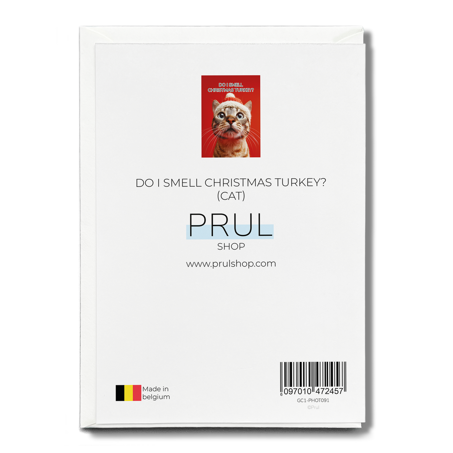 Do i smell Christmas turkey? (Cat) - Greeting Card