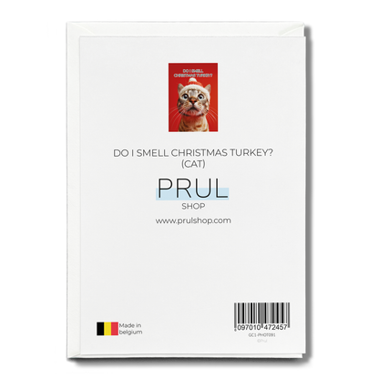 Do i smell Christmas turkey? (Cat) - Greeting Card