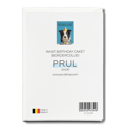What birthday cake? (Bordercollie) - Greeting Card