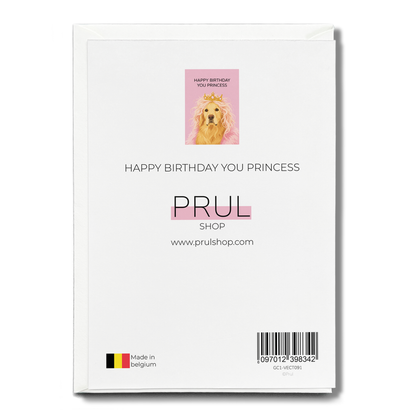 Happy birthday you princess - Greeting Card