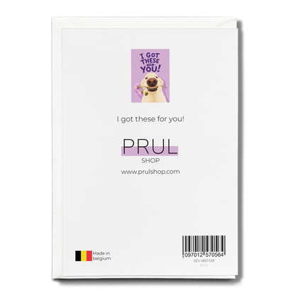 I got these for you! - Greeting Card