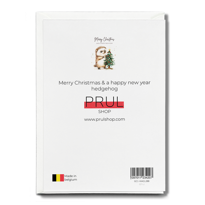 Merry Christmas & a happy new year hedgehog - Greeting Card