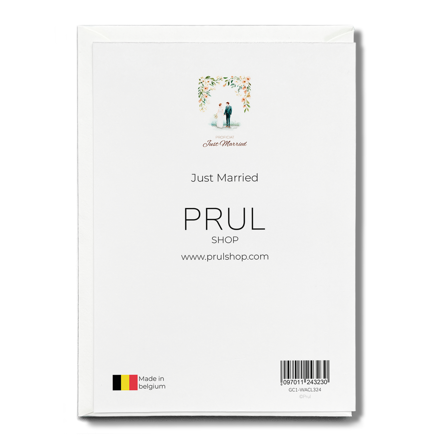 Just Married - Greeting Card