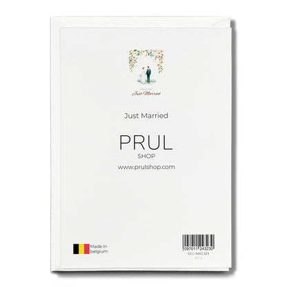 Just Married - Greeting Card