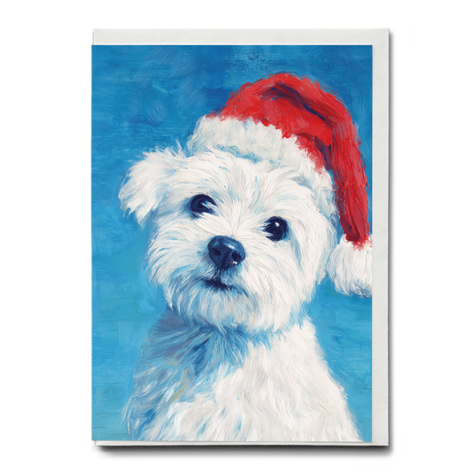 Maltese wearing a Christmas hat - Greeting Card