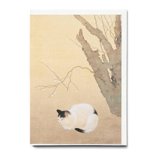 Cat and Plum Blossoms by Hishida Shunso - Greeting Card