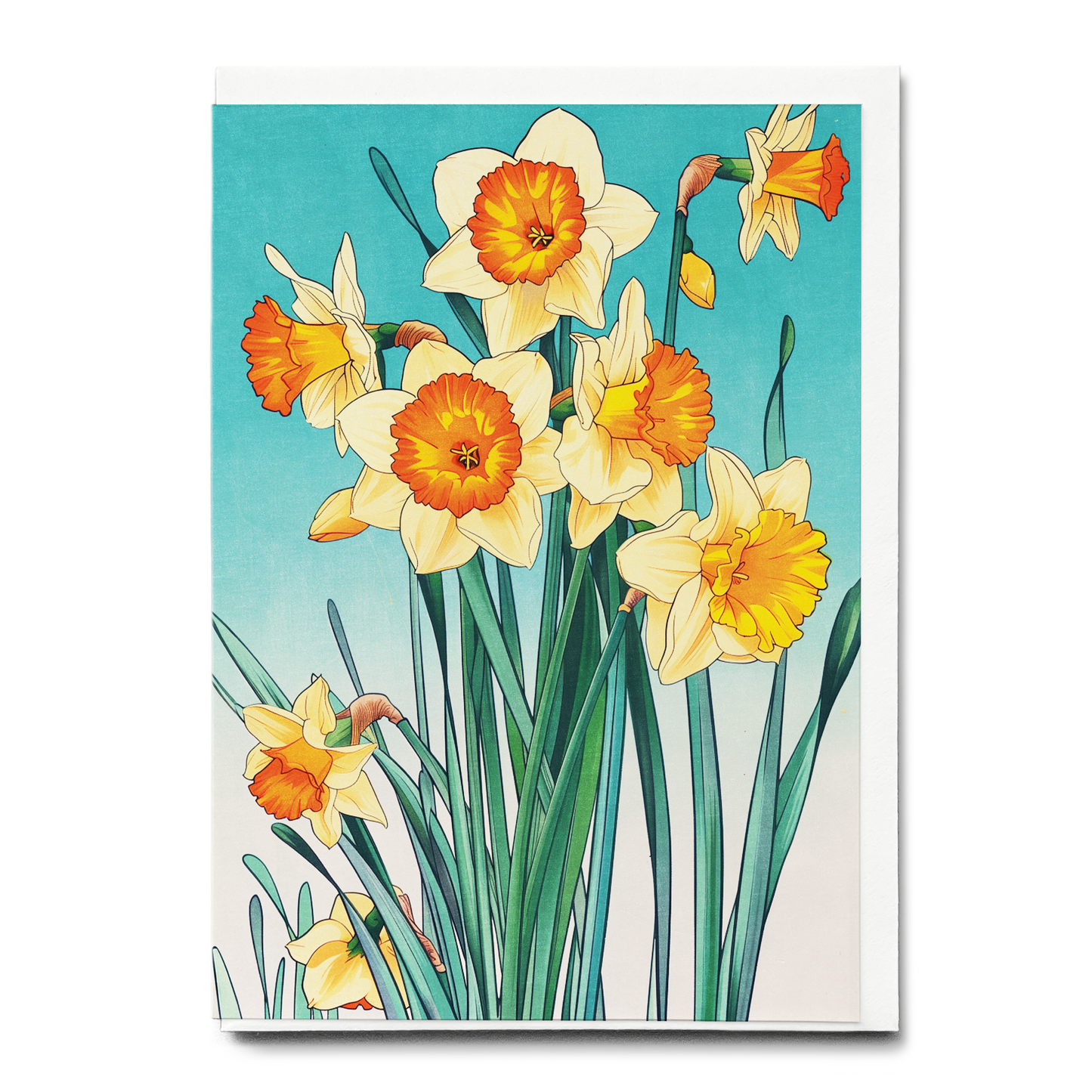Daffodils - Greeting Card