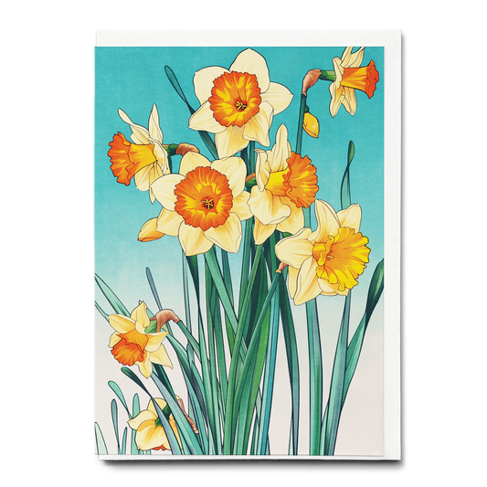 Daffodils - Greeting Card