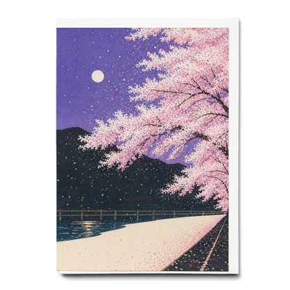 Pink blossom tree at night - Greeting Card